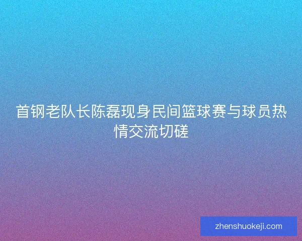 首钢老队长陈磊现身民间篮球赛与球员热情交流切磋